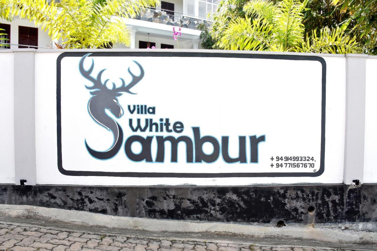 Villa De White Sambur ヒッカドゥワ エクステリア 写真