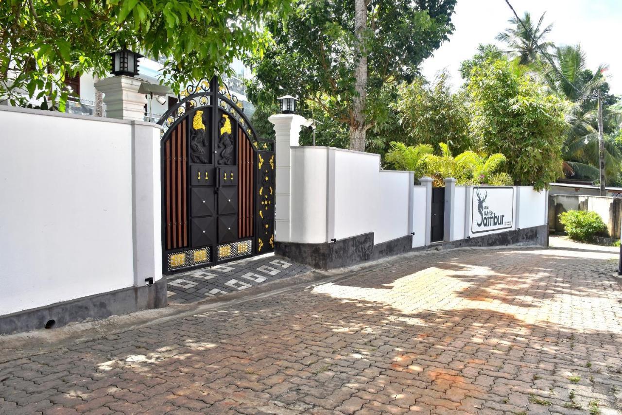 Villa De White Sambur ヒッカドゥワ エクステリア 写真