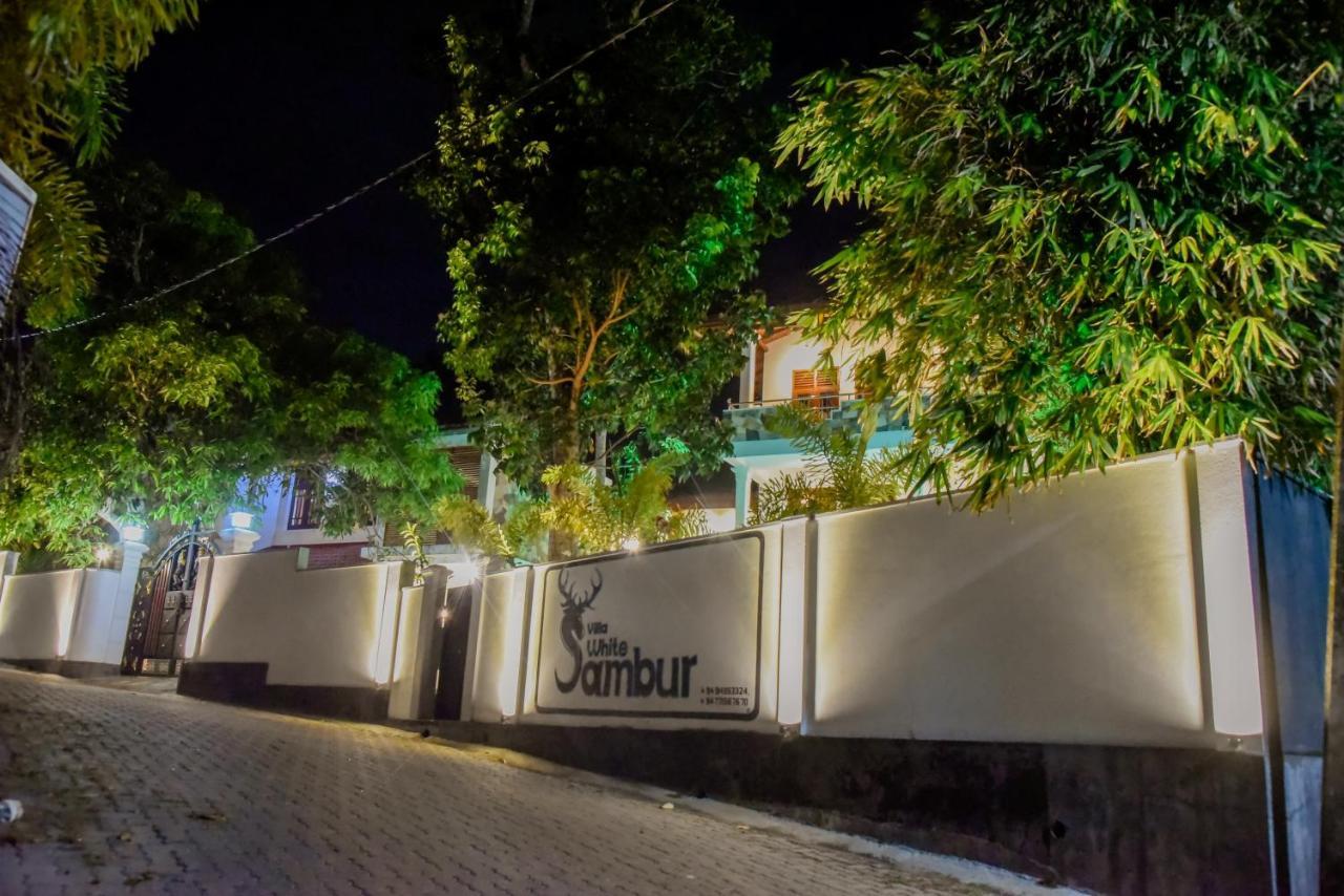 Villa De White Sambur ヒッカドゥワ エクステリア 写真